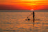 SUP Rental Köpenhamn